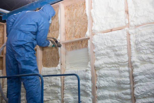 Best Attic Insulation Installation  in , AK